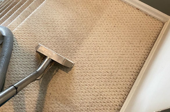 Carpet Dry Cleaning Marrickville