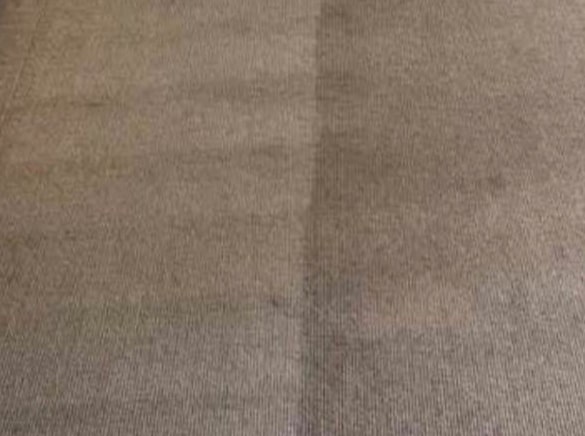Carpet Stain Removal Marrickville