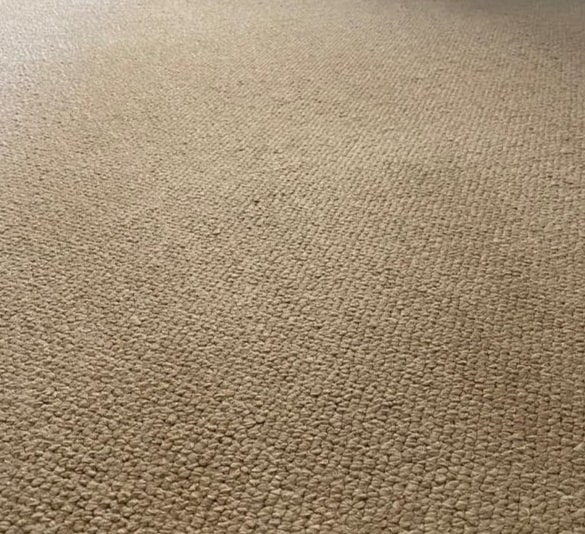 expert carpet cleaning Marrickville