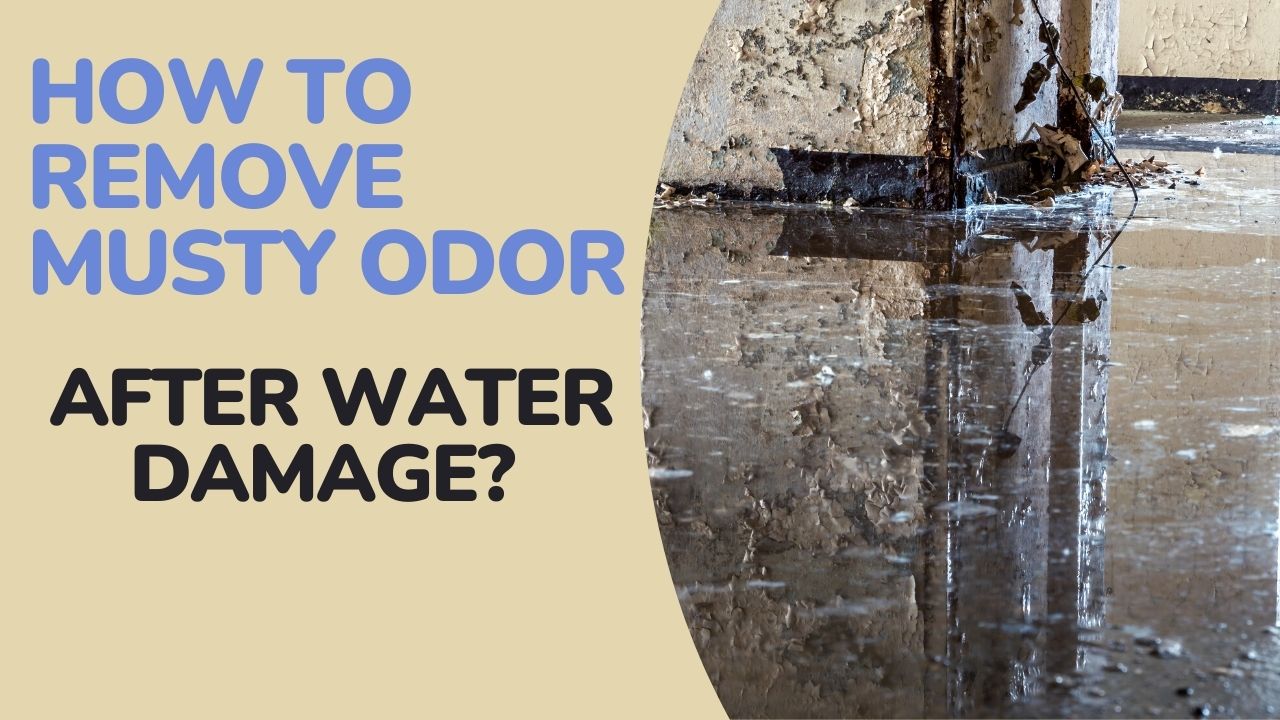 How To Remove Musty Odor After Water Damage